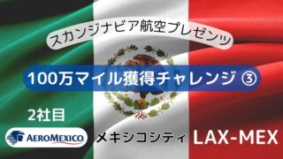 SAS100万マイル獲得チャレンジ 3 LAX-MEX 連続搭乗さすがに目眩が…
