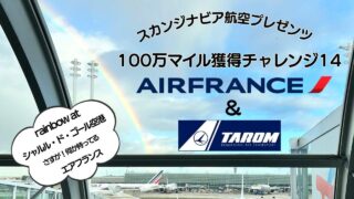 SAS100万マイル獲得チャレンジ 14 この旅最上級のホテル滞在&Air France&TAROMでパリ経由ブカレストへ