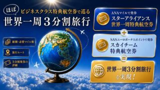 ANAスターアライアンス世界一周特典航空券+SASユーロボーナスポイント特典航空券+αで世界一周3分割ルートを組んだ 費用・ルート