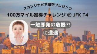 SAS100万マイル獲得チャレンジ 6 New York JFKで暴動勃発の危機?!に遭遇