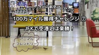SAS100万マイル獲得チャレンジ 7 JFK T4での夜明かしは快適!