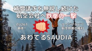 欠航補償請求に対し不誠実な対応を取り続けるSaudiaへ対抗する痛快な一手
