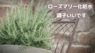 ローズマリーを肌に使う